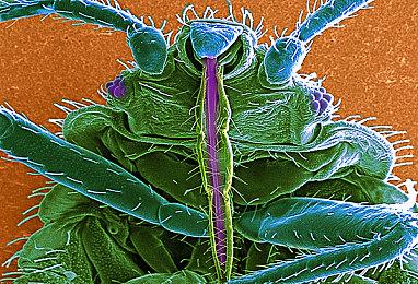 Geoff承认对夏季游戏节缺乏多样性的批评